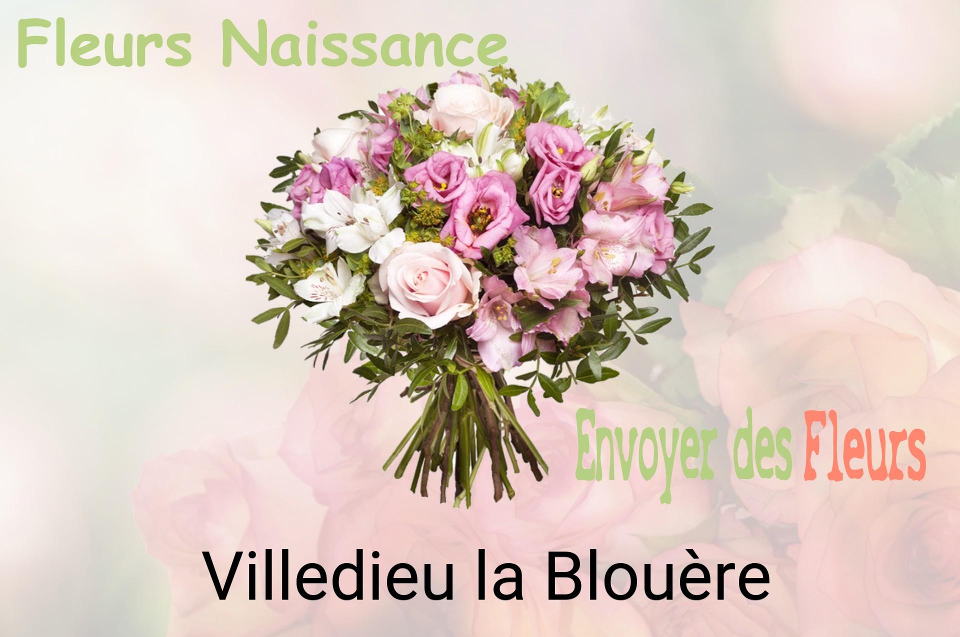 Bouquet de fleurs de naissance livré à Villedieu-la-Blouère
