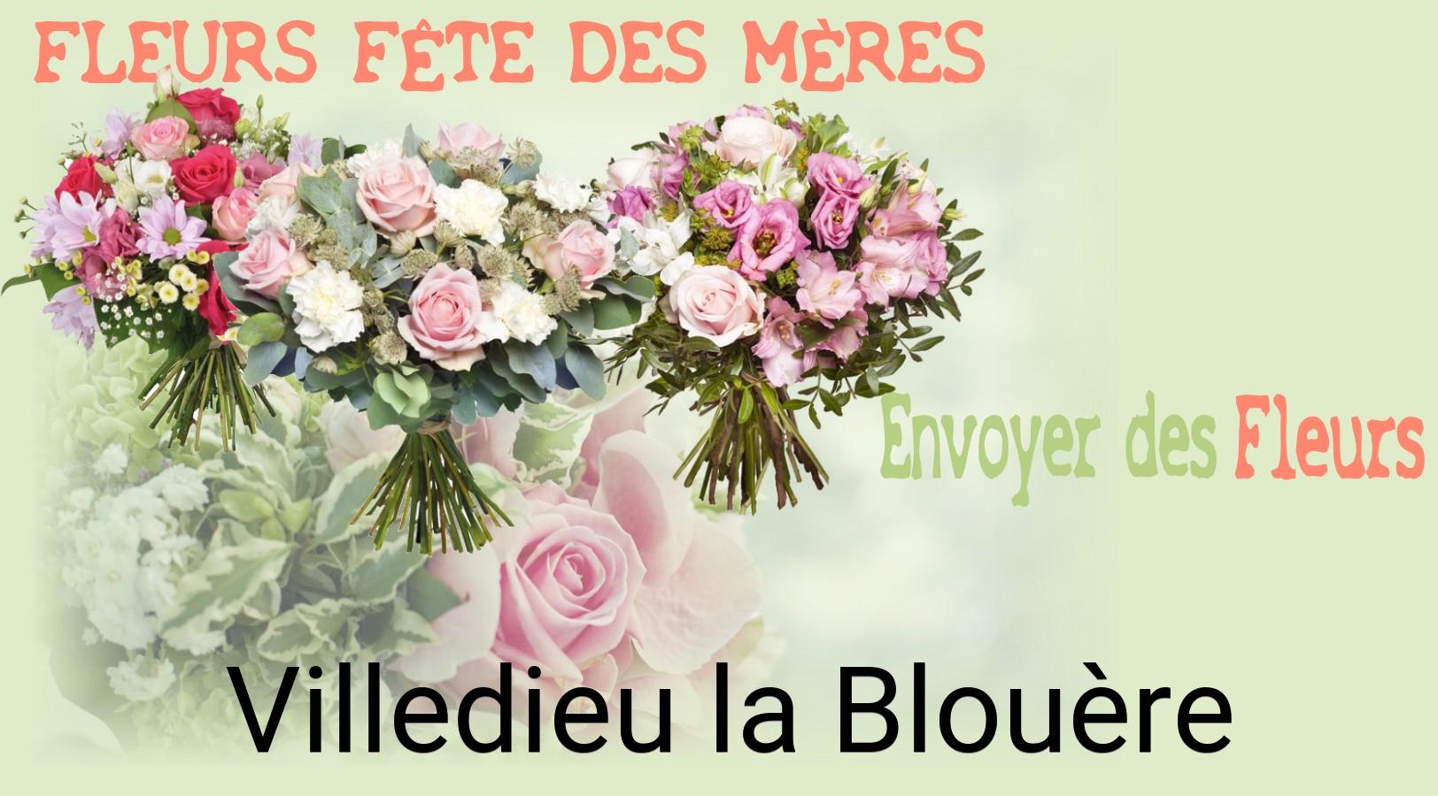 Bouquet de Fête des Mères livré à Villedieu-la-Blouère